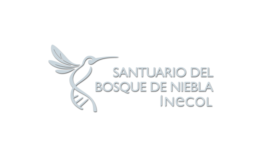 Santuario del Bosque de Niebla
