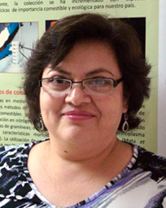 Dulce Ma. G. Salmones Blásquez ►