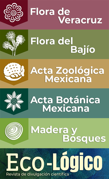 REVISTAS